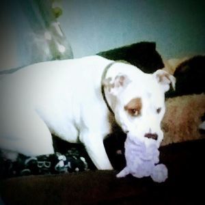 Meet your Posher, Mary